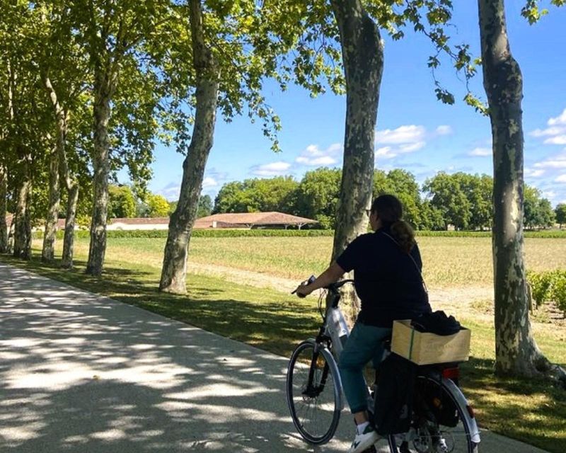 Bordeaux: St-Emilion Vineyards e-Bike Tour with Wine & Lunch - Guided Winery Tour After Lunch: Learning the Vine-to-Bottle Process