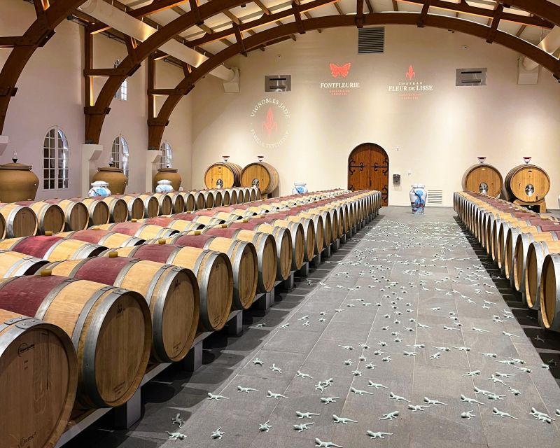 Bordeaux: St-Emilion Vineyards e-Bike Tour with Wine & Lunch - What to Bring (and What to Skip)