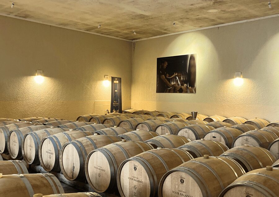 Bordeaux : Unforgettable Saint Emilion Half Day Wine Tour - Saint-Émilion in 5 Hours, the Mix That Actually Works