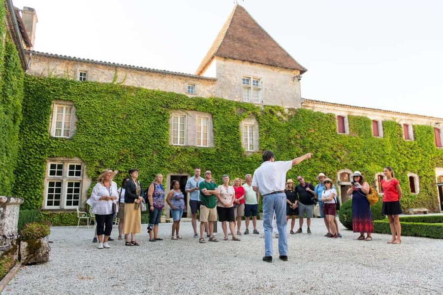 Bordeaux: Vineyards Wine Tasting Half-Day Trip - A Half-Day Bordeaux Wine Trip That Actually Feels Balanced