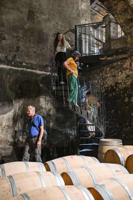 Bordeaux: Vineyards Wine Tasting Half-Day Trip - From Bordeaux Tourist Office to the Vineyards: Timing That Keeps You Moving
