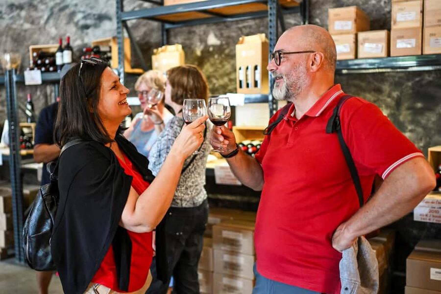 Bordeaux: Vineyards Wine Tasting Half-Day Trip - Blaye and the Citadel Stop: History With a Wine Finish