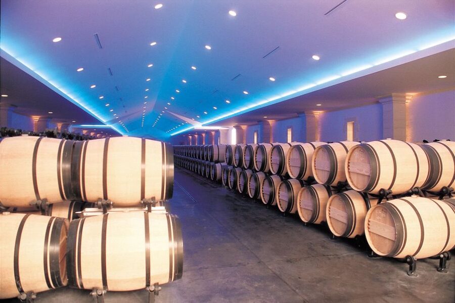 Bordeaux: Vineyards Wine Tasting Half-Day Trip - What to Bring, What Not to Bring, and the Reality of Rain or Shine