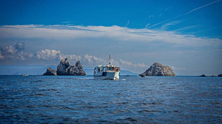 Bormes-les-Mimosas: Hybrid boat trip to Porquerolles Island - Price and value: what you get for about $59