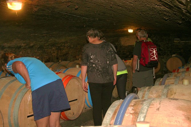Burgundy Bike Tour with Wine Tasting from Beaune - First Stop: Beaune Setup, Bike Matching, and a 9:30 Start
