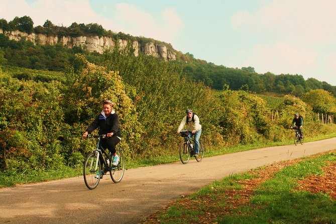 Burgundy Bike Tour with Wine Tasting from Beaune - Hills, Heat, and Why the E-Bike Advice Is Real