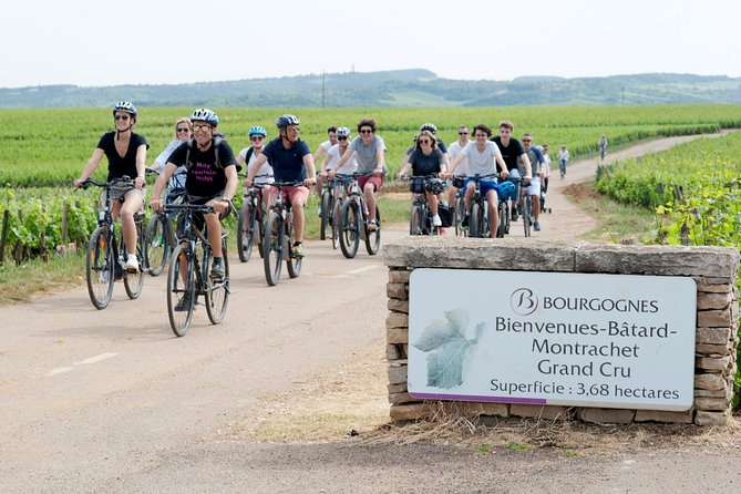 Burgundy Bike Tour with Wine Tasting from Beaune - Puligny-Montrachet Lunch Stop: The Midday Reset You Need