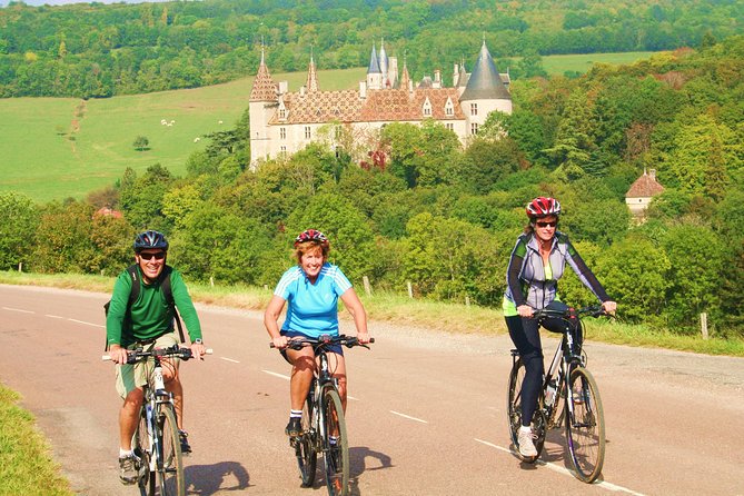 Burgundy Bike Tour with Wine Tasting from Beaune - How the Guides Handle the Ride: Friendly, Funny, and Organized