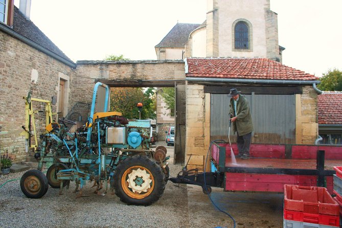 Burgundy Bike Tour with Wine Tasting from Beaune - Timing, Value, and What You Actually Pay For