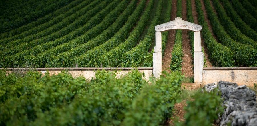 Burgundy Vineyards: Luxury Private Tours - Lunch Options in Côte de Nuits or Côte de Beaune (Set Menu, Extra Cost)