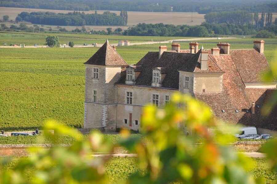 Burgundy Wines Full-Day Tasting Tour from Dijon - Corton Hills Views: Where Burgundy Makes Sense
