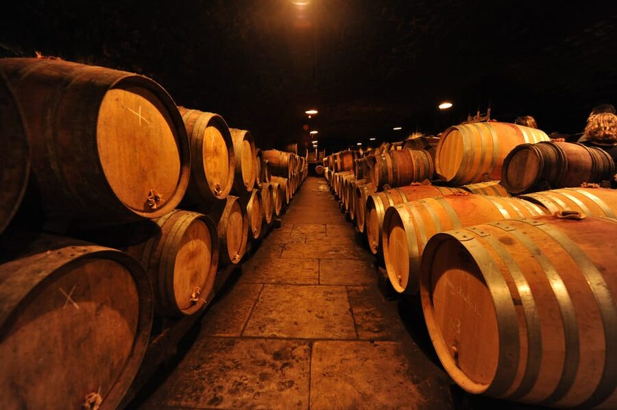 Burgundy Wines Full-Day Tasting Tour from Dijon - When This Tour Fits You Best