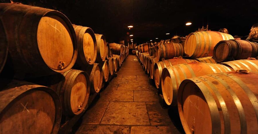 Burgundy Wines Full-Day Tasting Tour from Dijon - The Start Line in Dijon, Then the Vineyards Take Over