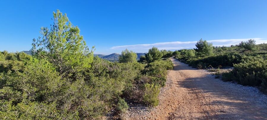 Calanques National Park: E-Mountain Bike with Virtual Guide - When forests close: the backup route for fire-risk summer conditions