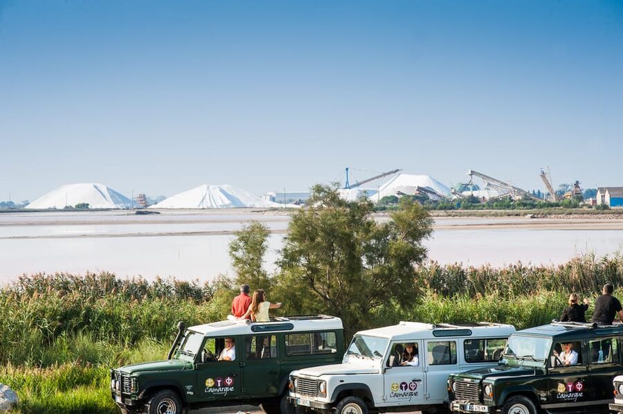 Camargue: Half-Day 4x4 Guided Safari Adventure - Aigues-Mortes medieval city tour: culture after the marsh