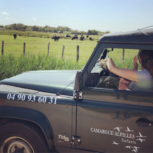Camargue: Safari from Saintes-Maries-de-la-Mer - Where Your Camargue Safari Starts, and How to Set Yourself Up