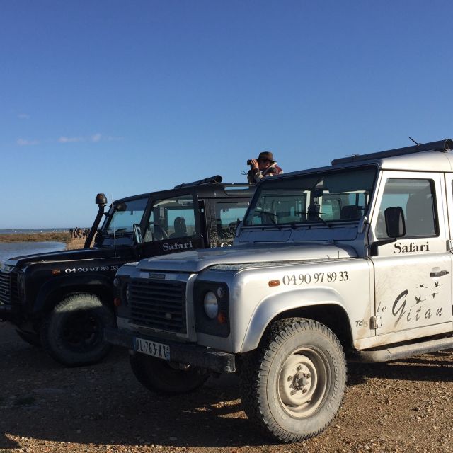 Camargue: Safari from Saintes-Maries-de-la-Mer - Flamingos and Birds: How to Get the Best Photos From the Right Spots