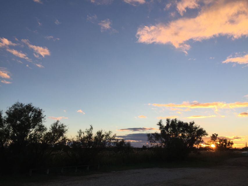 Camargue: Safari from Saintes-Maries-de-la-Mer - Who This Camargue Safari Fits Best