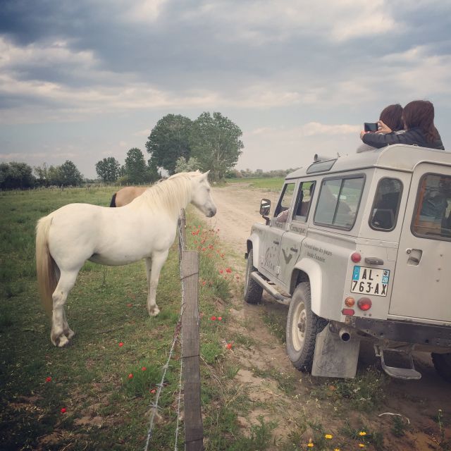Camargue: Safari from Saintes-Maries-de-la-Mer - The Route: What the 2 Hours Actually Looks Like