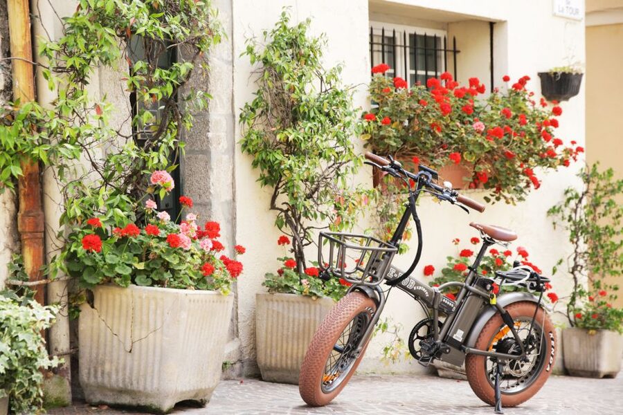 Cannes 2-Hour E-bike Tour - La Croisette: iconic seafront glamour, handled at a human pace