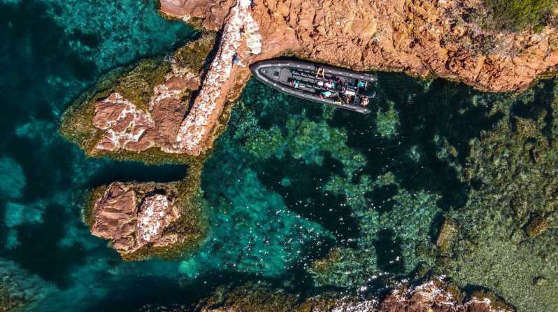 Cannes: Estérel Massif Boat Excursion - Key highlights I’d circle on your Riviera map