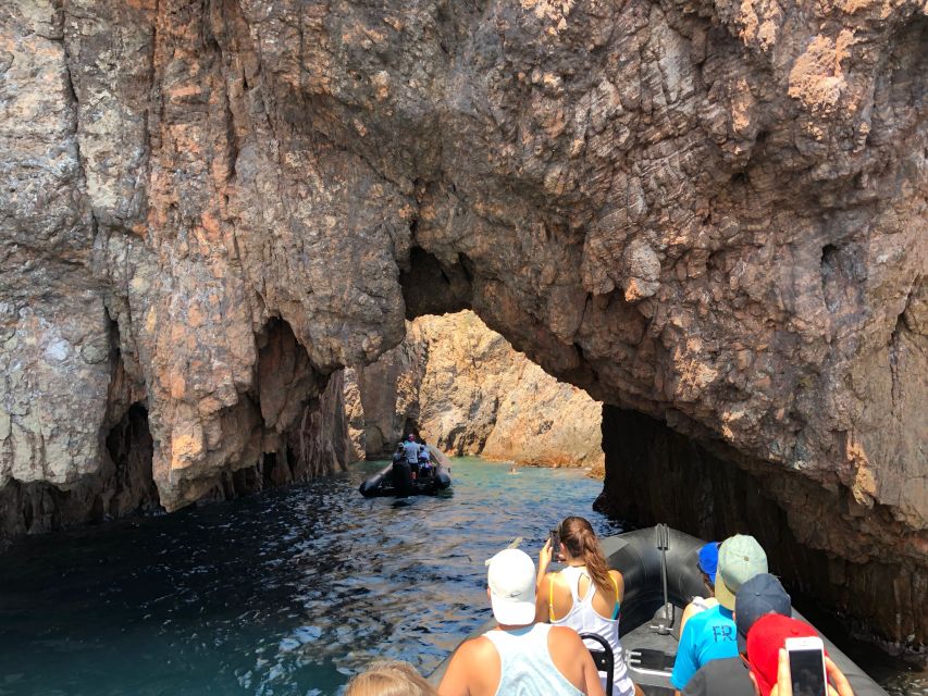 Cannes: Estérel Massif Boat Excursion - Estérel Massif: red rocks, marine life, and calanques
