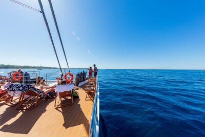 Half-Day Catamaran Cruise with Lunch
