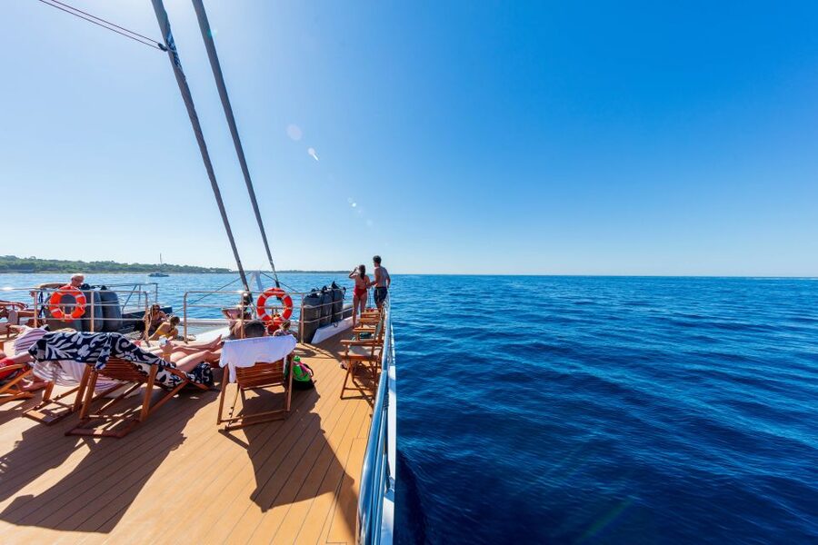 Cannes: Half-Day Catamaran Cruise with Lunch - From Cannes Old Port to Îles de Lérins at 10:15 AM