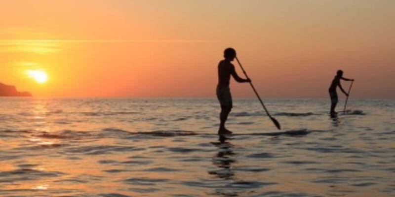 Cannes: Lérins Islands Private Boat Tour - Saint-Honorat Island visit: the calm change of pace you want