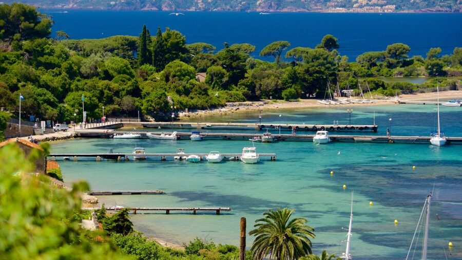 Cannes: Private Boat Trip to Lerins Islands & Cap d'Antibes - Setting Off From Camille Rayon Marina, Then Watching the Coast Unfold