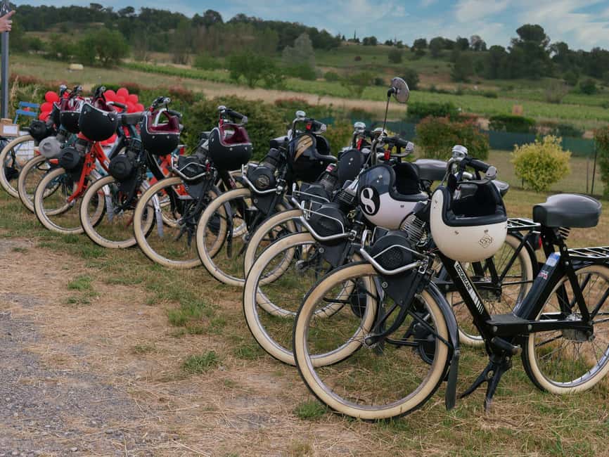 Carcassonne: Solex tour with guide and wine tasting - Key things that make this Solex and wine tour special