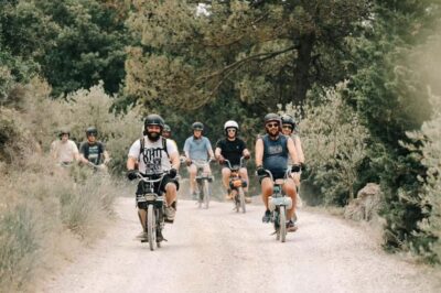 Carcassonne: Solex tour with guide and wine tasting