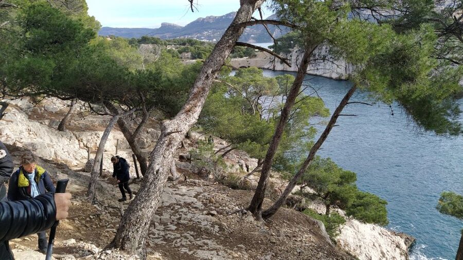 Cassis: 3 Calanques Half-Day Hiking Tour with Swimming - Port-Pin break and the best optional swim on the route