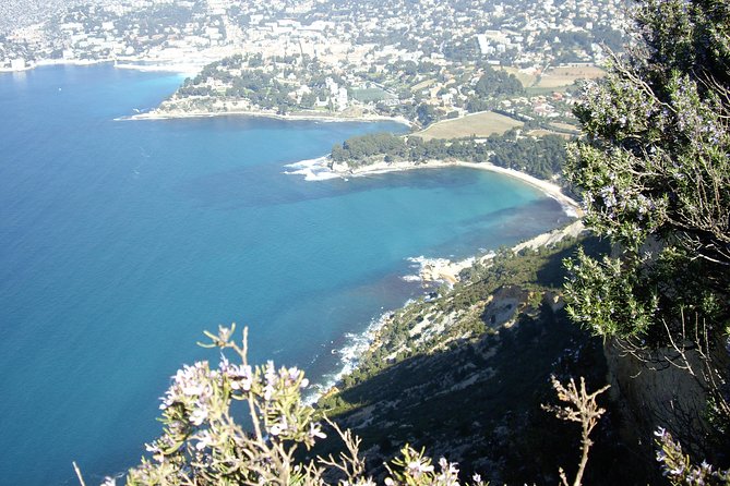 Cassis Half-Day Trip from Aix-en-Provence - How the Schedule Really Feels: Breakfast, Lunch, and What to Prioritize
