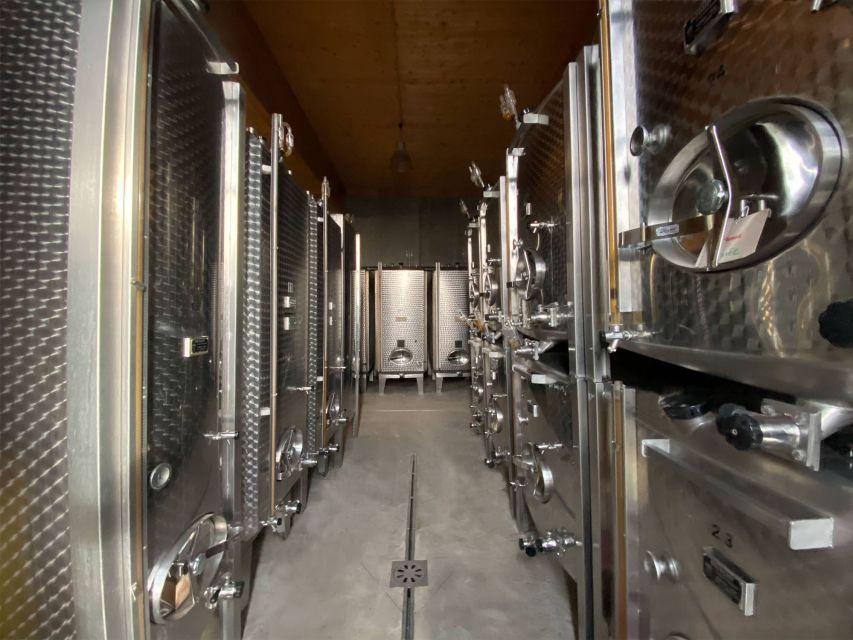Cellar visit and Alsace wine tasting with a feminine touch - Inside the cellar: what you’re really seeing during the visit