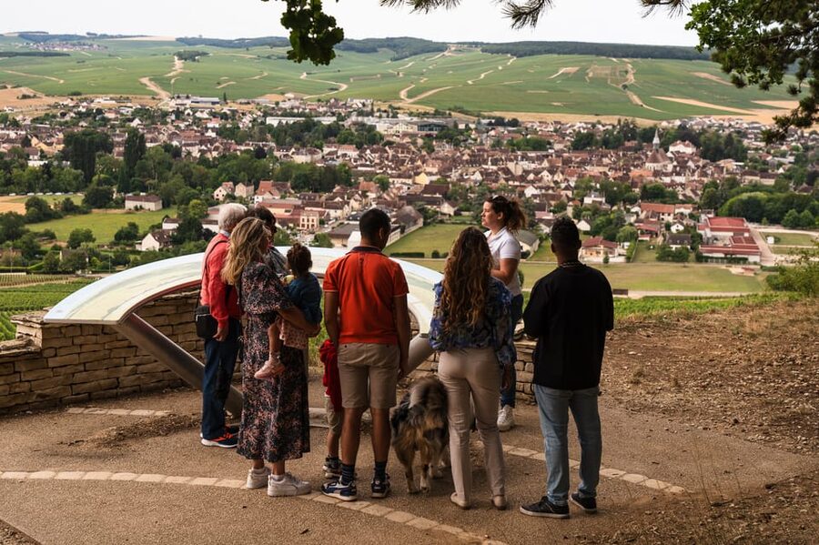Chablis: Visit of the Grand Cru vineyard - Price and value: is $58 worth a 2-hour Grand Cru lesson?