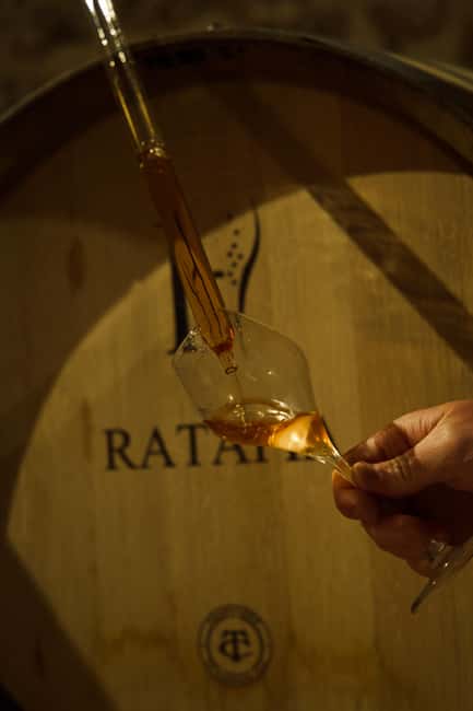 Champagne Cellar Experience: Explore our historic cellars - The 1-hour cellar and winery tour, what you actually see