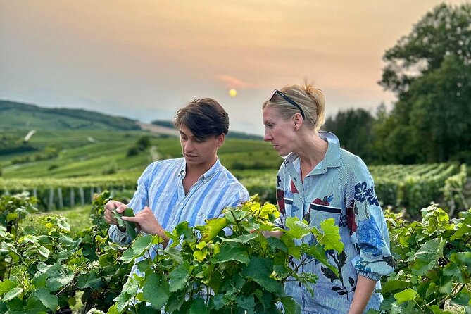 Champagne Day Trip from Paris with 8 Tastings & Lunch - Key highlights worth knowing before you go