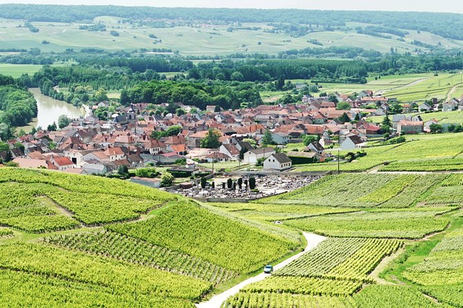 Champagne Day Trip with 6 Tastings, Reims and Winery from Paris - Champagne hills first: walking through Chardonnay and Pinot Noir