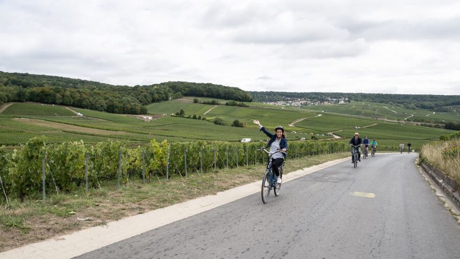 Champagne: E-Bike Champagne Day Tour with Tastings and Lunch - Price and value: is $224 worth it for a Champagne day?