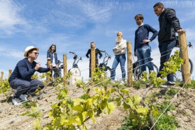 Champagne: E-Bike Champagne Day Tour with Tastings and Lunch