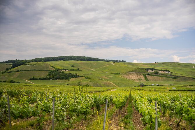 Champagne experience with a vintage van from Epernay - 3 hours - Vintage van comfort, sound, and guide energy
