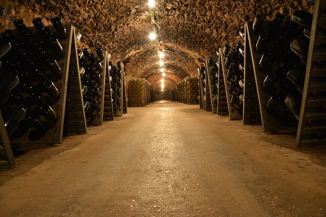 Champagne experience with a vintage van from Epernay - 3 hours - Aÿ-Champagne village and the vineyard pause for real seasonal work
