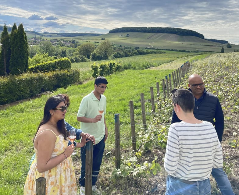 Champagne Munoz Bruneau : Half Day Visit and Tasting - What to bring, what to wear, and what to ask