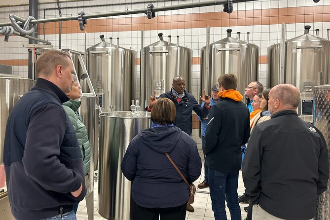Champagne Munoz Bruneau : Half Day Visit and Tasting - Vineyard walkthrough tips: how to get more from the time outside