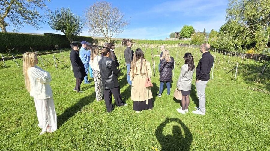 Champagne Vineyard Experience: Delve into the terroir - Meeting a producer committed to biodiversity