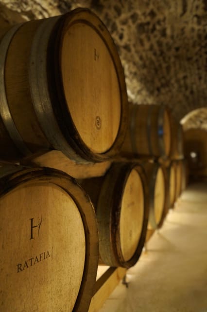 Champagne Vineyard Experience: Delve into the terroir - Price and value for a 90-minute experience