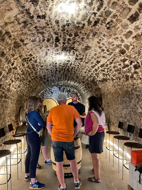 Champagne Vineyard Experience: Delve into the terroir - The oldest vines stop: what it teaches you about taste