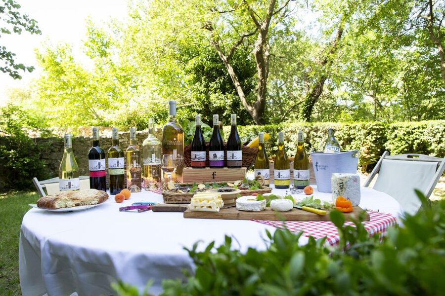 Château de Luc: Unique visit and wine tasting - Old Stable Tasting Cellar and Organic Wines You Can Actually Choose