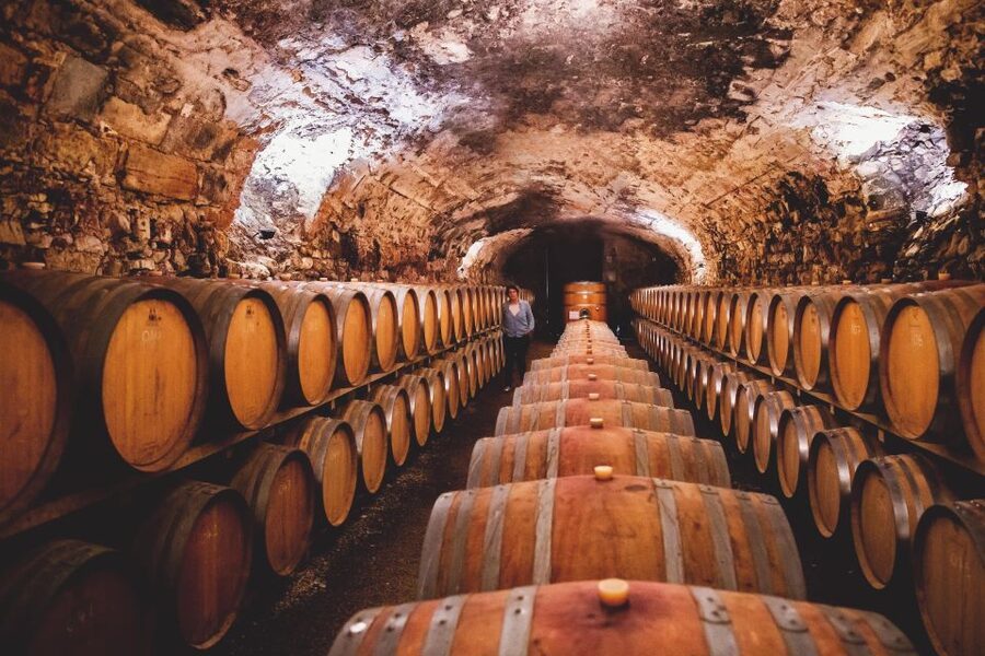Château de Luc: Unique visit and wine tasting - Price and Value: Is $15 Really Fair?